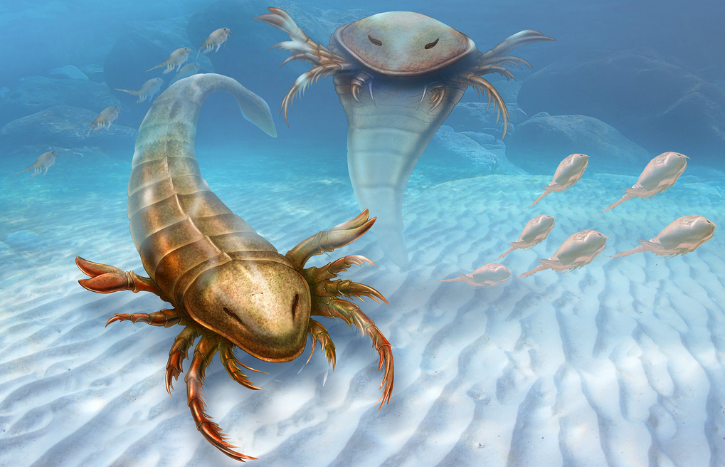 Палеонтологи обнаружили древнейшего морского скорпиона-гиганта